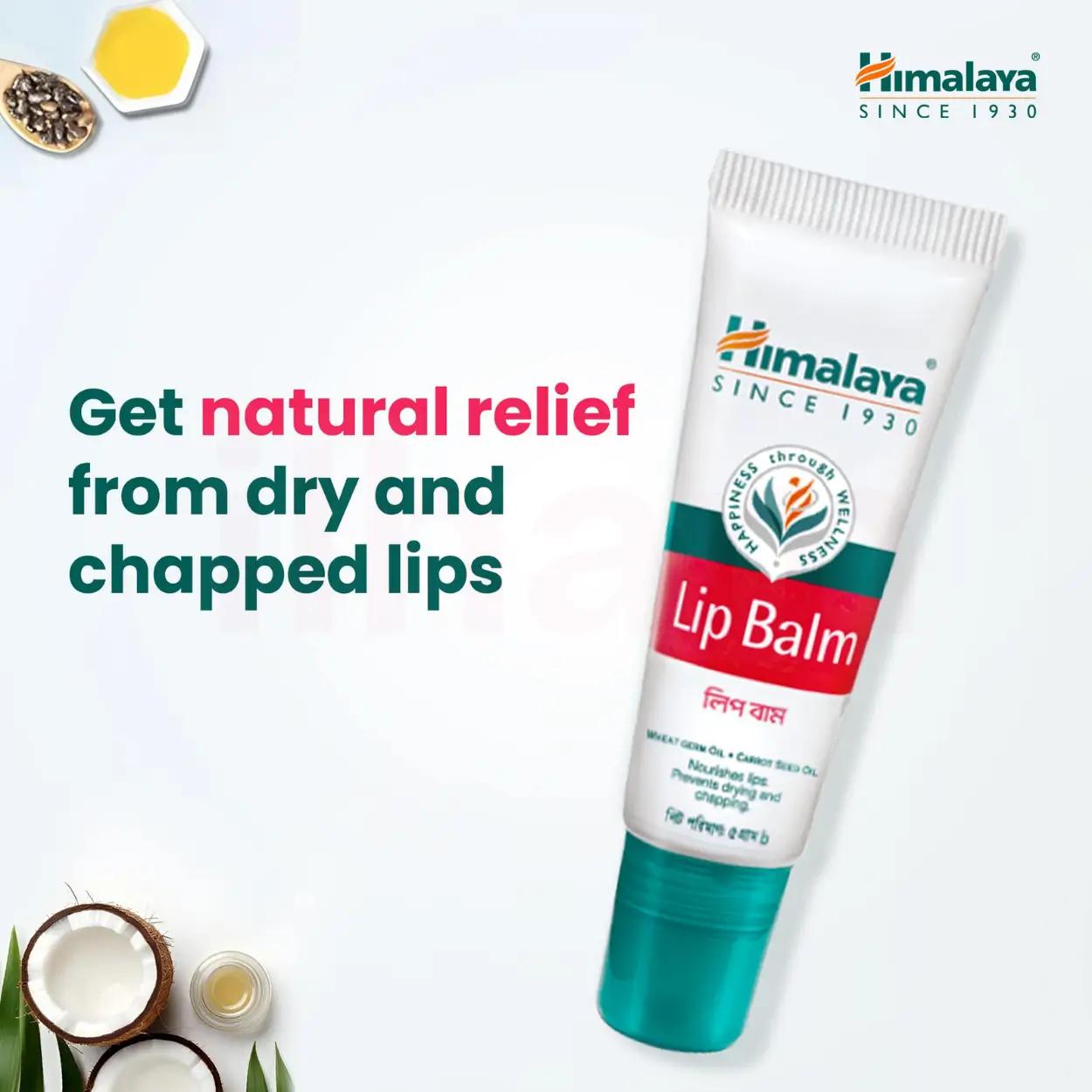 Himalaya Lip Balm 5g